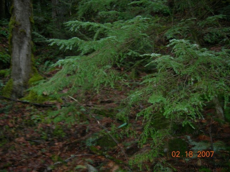 dscn1780