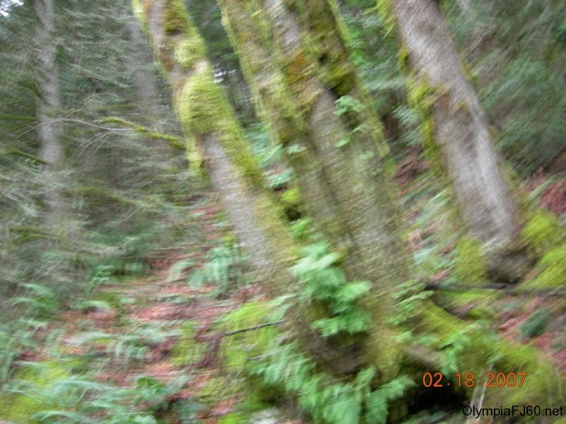 dscn1782