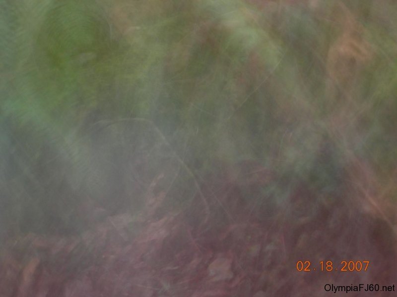 dscn1793