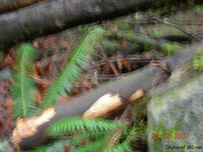 dscn1798
