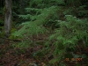dscn1780