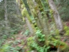 dscn1782