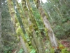 dscn1784