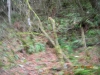 dscn1785