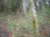 dscn1790