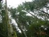 dscn1791