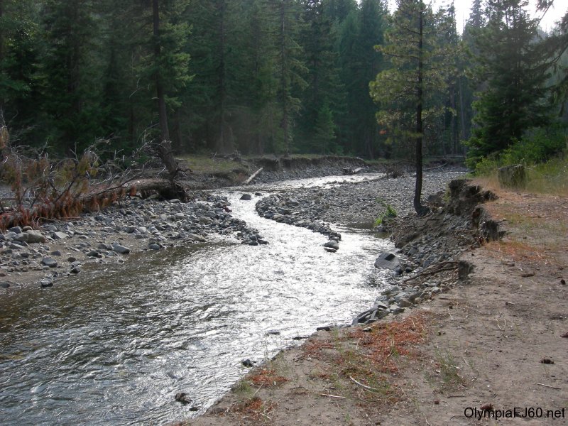 naches-2009-30