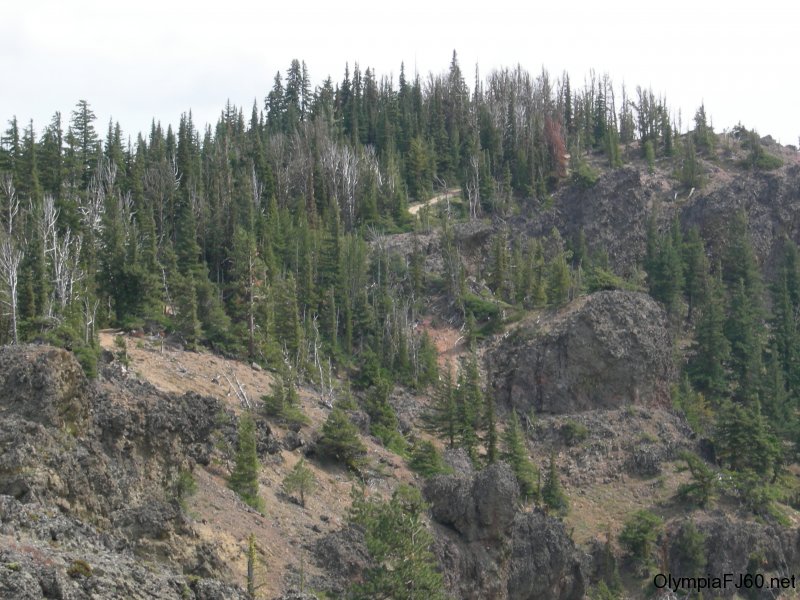 naches-2009-41
