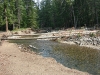 naches-2009-29