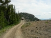 naches-2009-37
