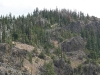 naches-2009-41