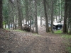 naches-2009-51