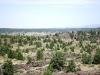 idaho-2010-bka-063