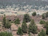 idaho-2010-bka-074