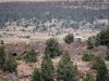 idaho-2010-bka-075