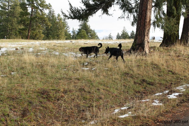 s-cleelum-ridge-10-13-2010-08
