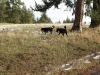 s-cleelum-ridge-10-13-2010-08