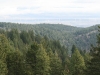 s-cleelum-ridge-10-13-2010-10