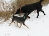 s-cleelum-ridge-10-13-2010-13