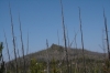 worw_2012_16