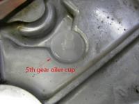 oiler_cup